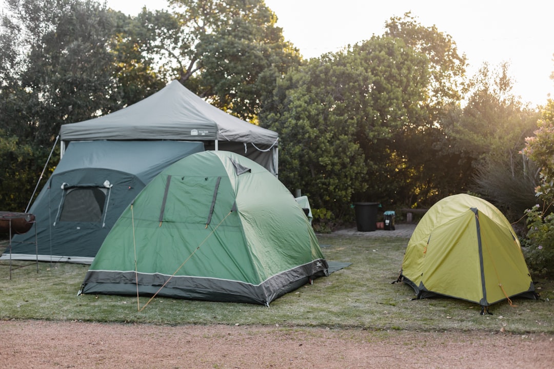 The Ultimate Guide to Eco-Friendly Camping Gear for 2025